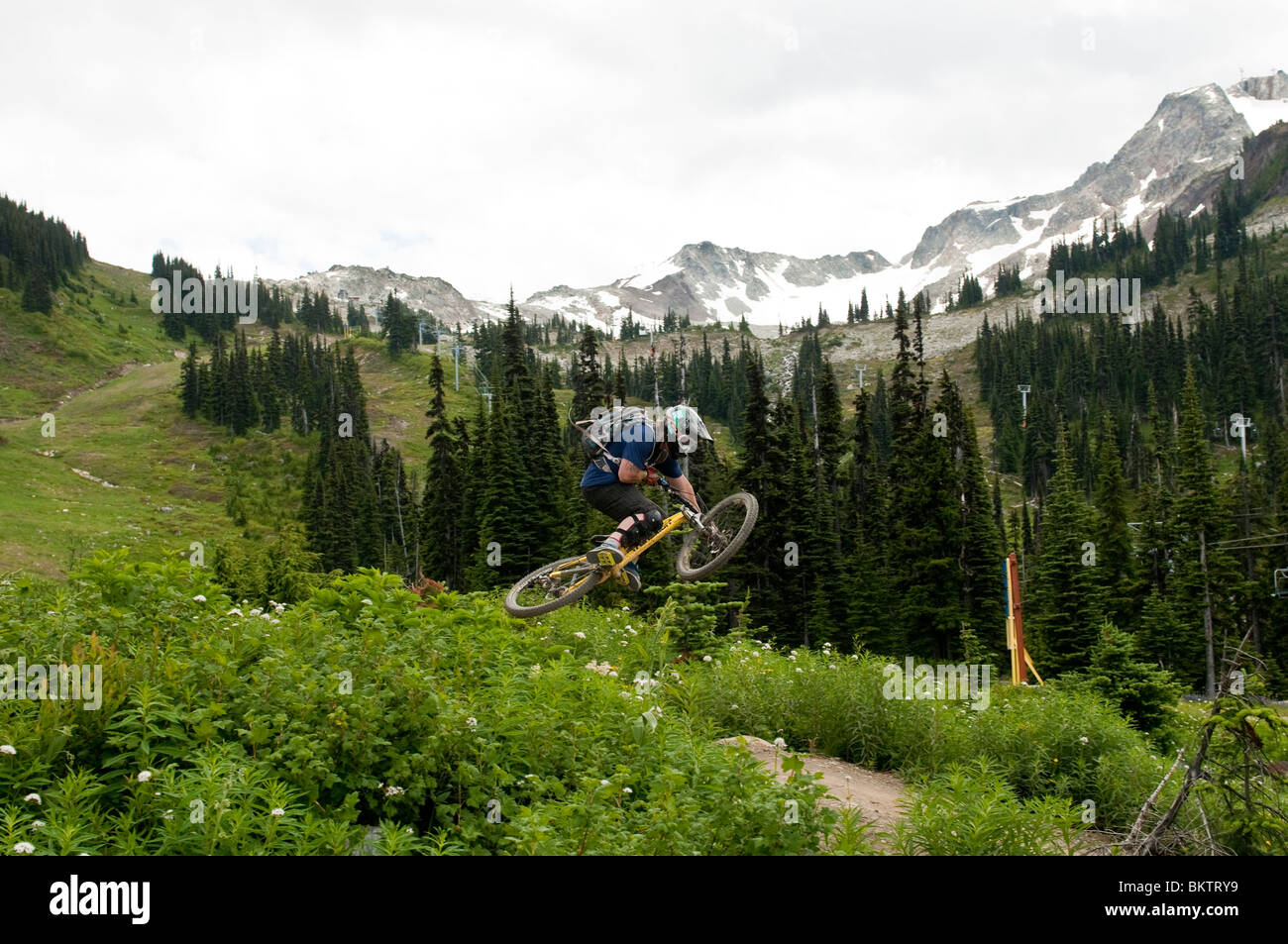 Downhill Mountain Biking in the world famous Whistler Bike Park in Whistler, BC, Canada Stock