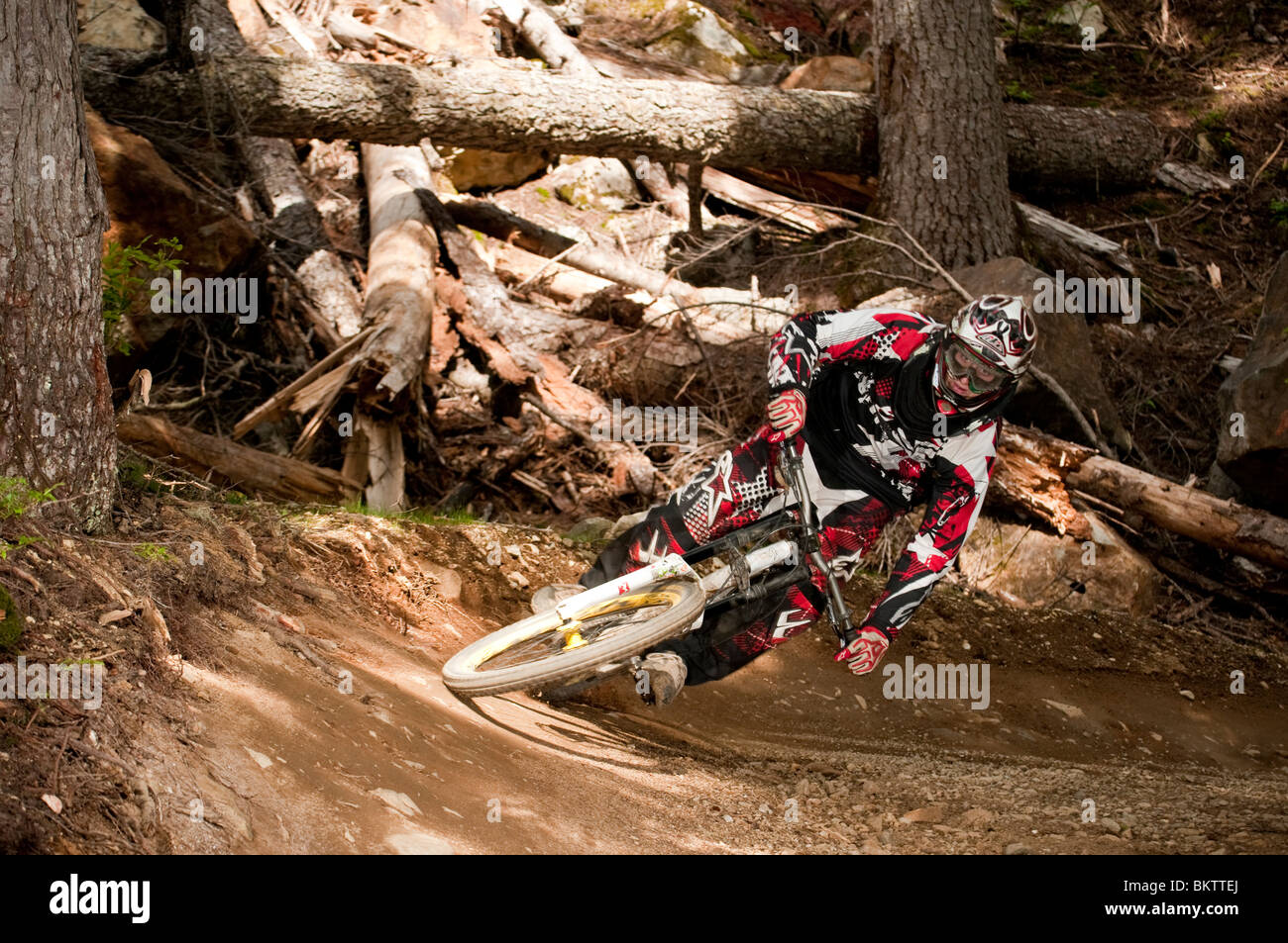 Downhill Mountain Biking in the World Famous Whistler Bike Park Stock Photo Alamy