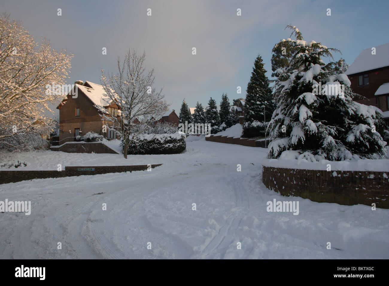 Gorse hill hires stock photography and images Alamy