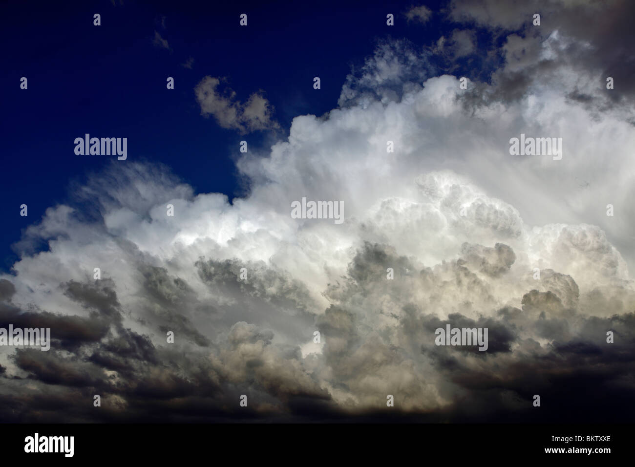 Cumulus clouds building up into a thunderstorm. Stock Photo