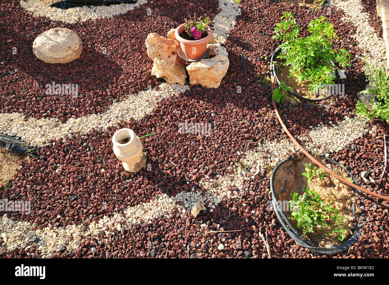Israel, Drip irrigation in a park Stock Photo Alamy