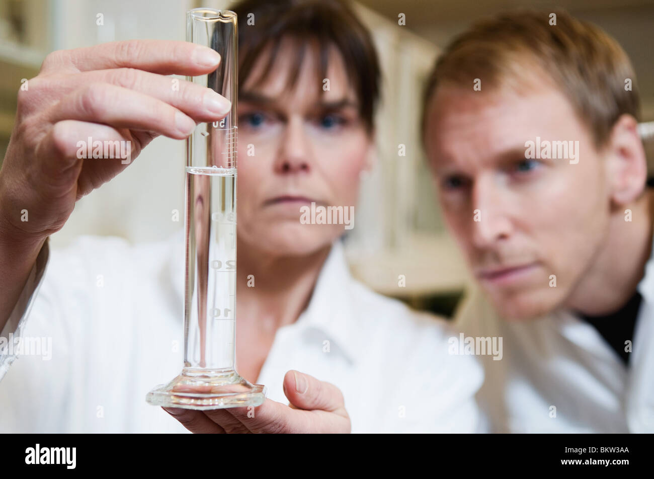 Doctor colleagues Stock Photo