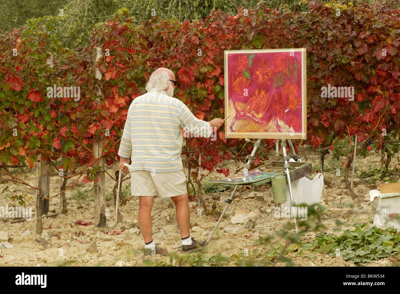 man schildert rode wijngaardkleuren in Toscane; a man paints the red vineyard colors in Toscane Stock Photo