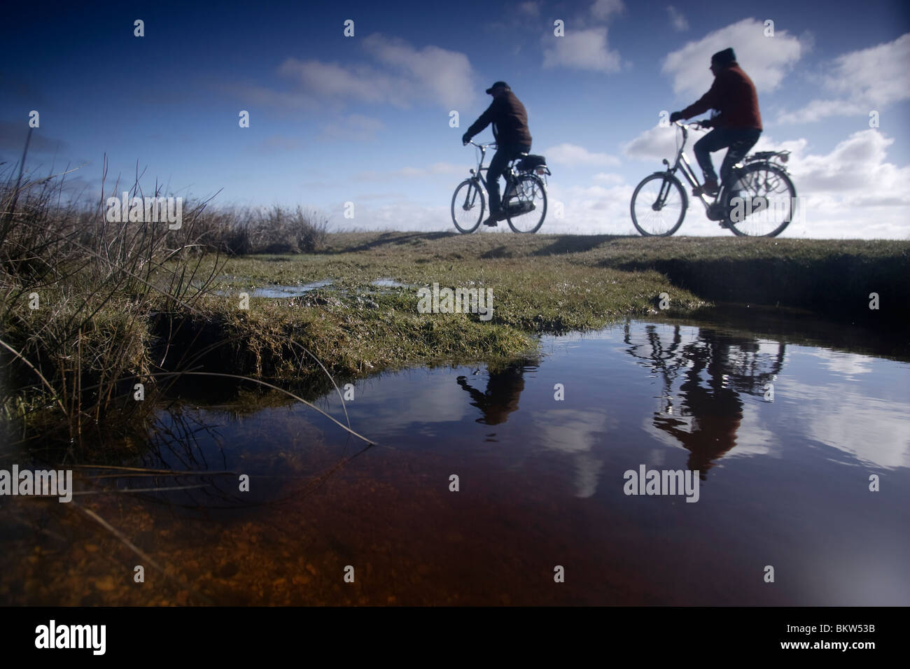 people ride through the salt marsh of Schiermonnikoog Stock Photo