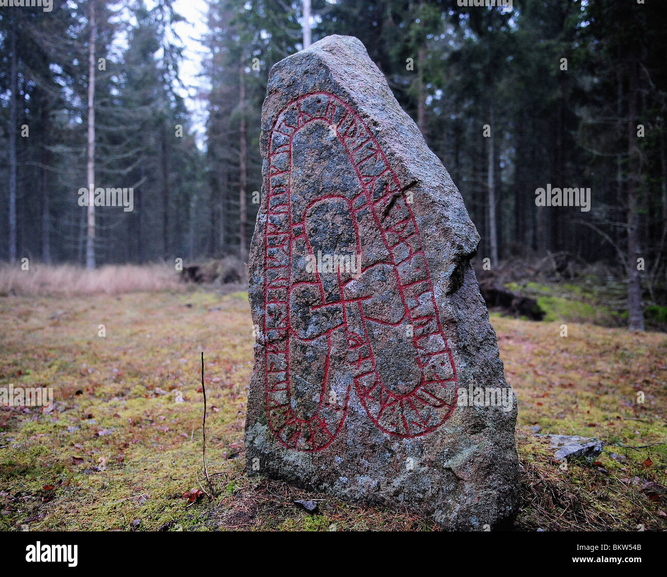 Rune stone in wood glide Stock Photo