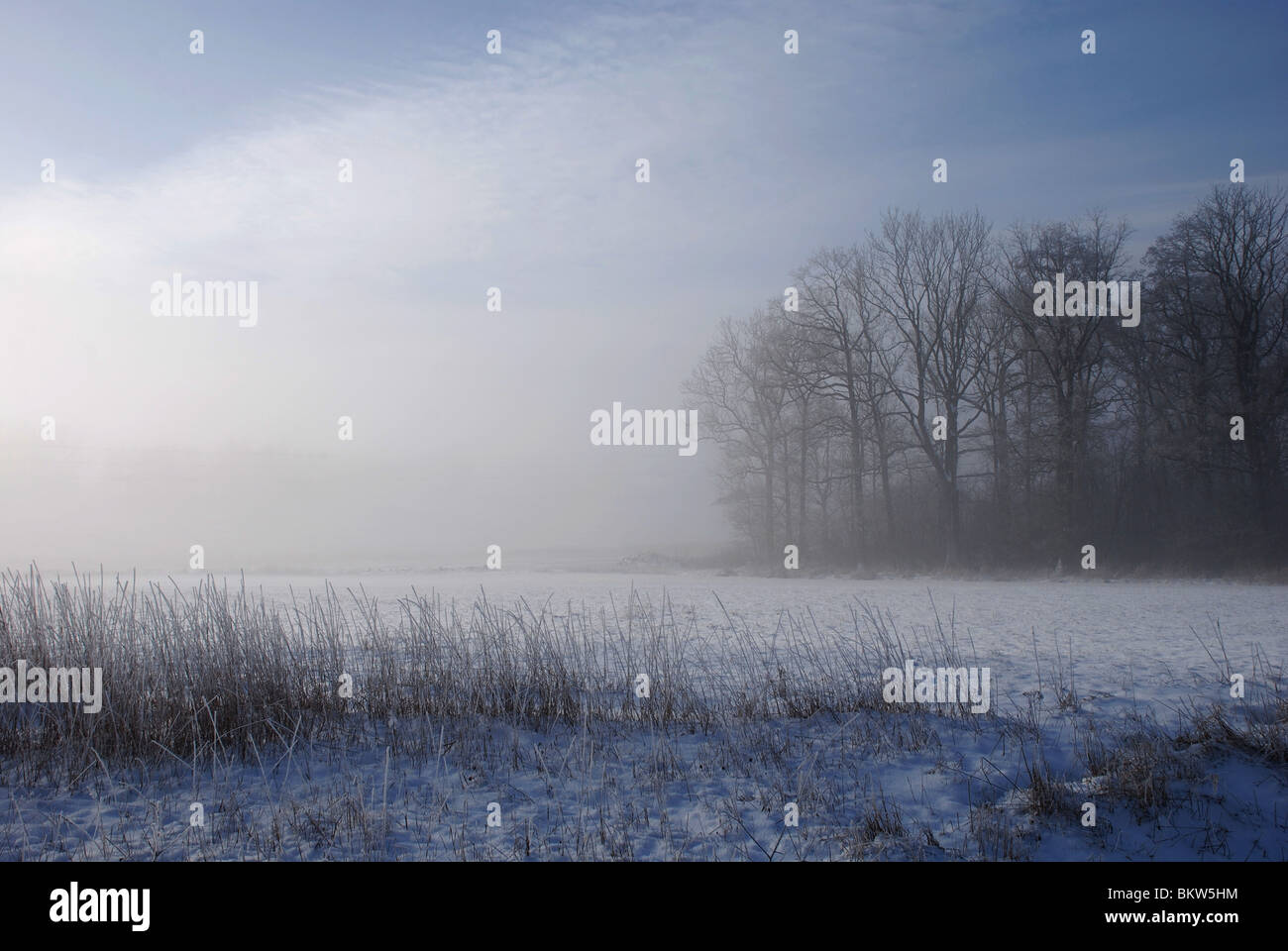 Heat haze hires stock photography and images Alamy