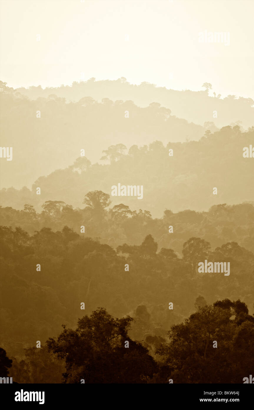 Evening falling over the forests of the Dong Phaya Yen/Khao Yai world