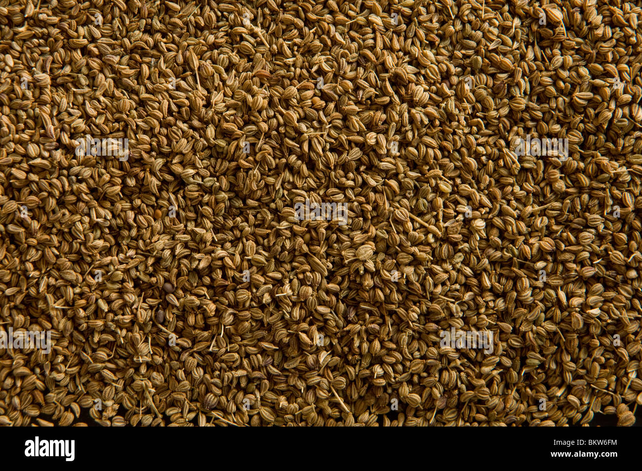 Close shot of ajwain or ajowan seeds Stock Photo Alamy