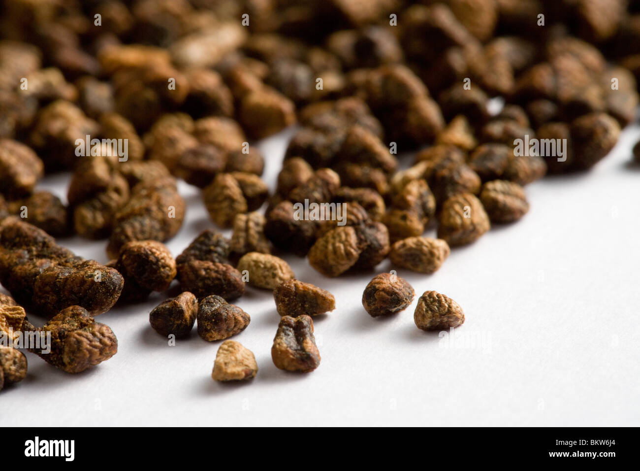 Black cardamom seeds Stock Photo Alamy