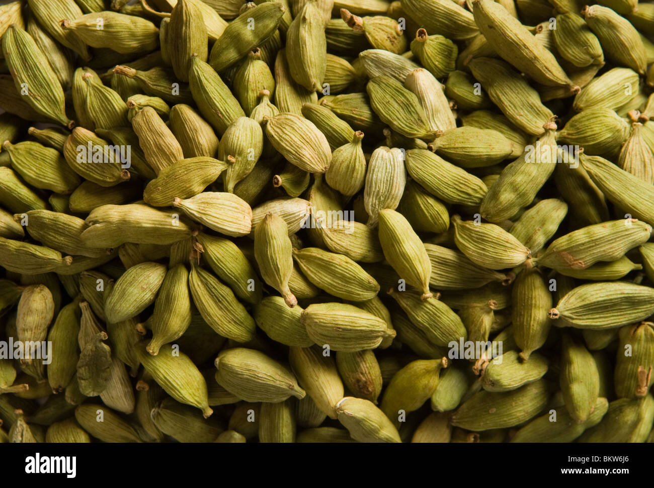 Green cardamom pods Stock Photo Alamy