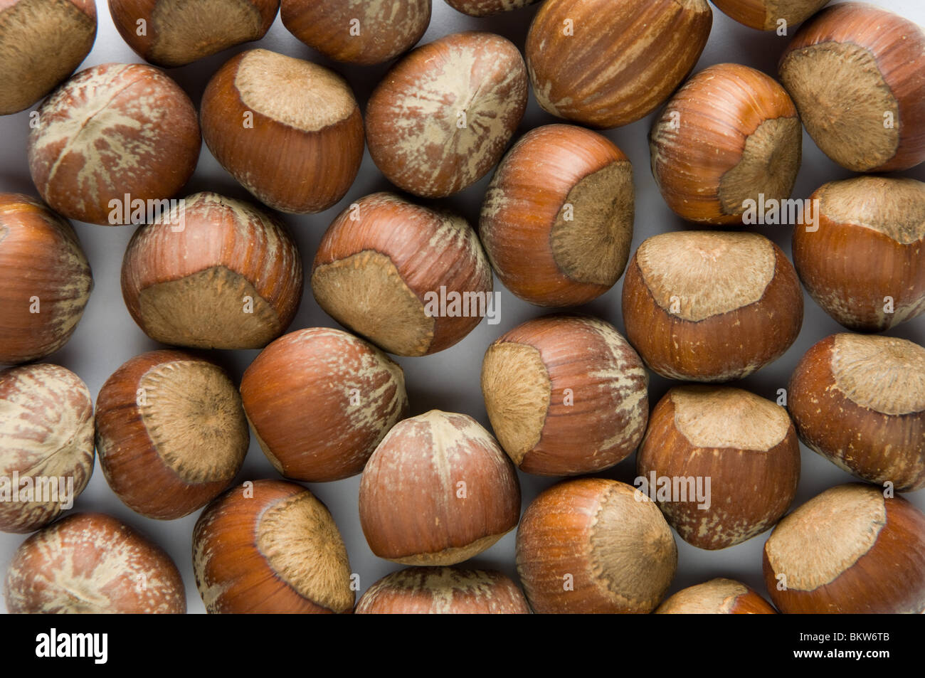 Hazelnuts in the shell Stock Photo Alamy