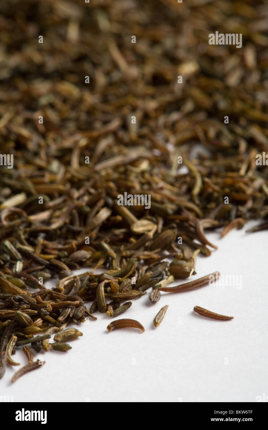 Black cumin seeds Stock Photo Alamy