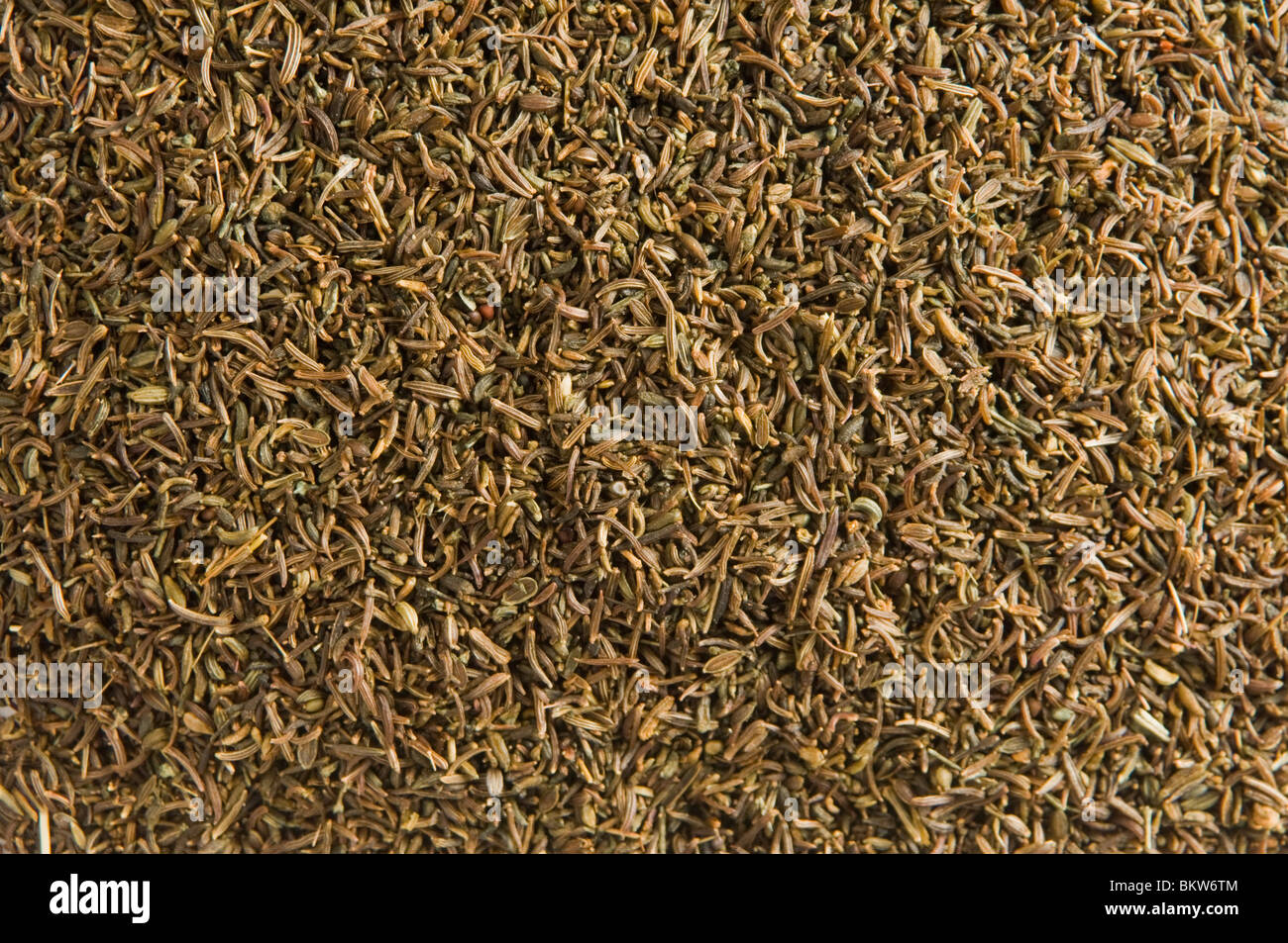 Black cumin seeds Stock Photo Alamy