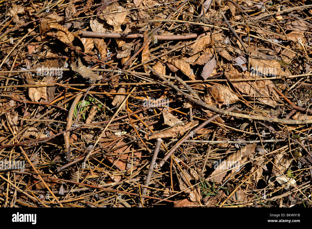 Illustration de déchets verts Stock Photo