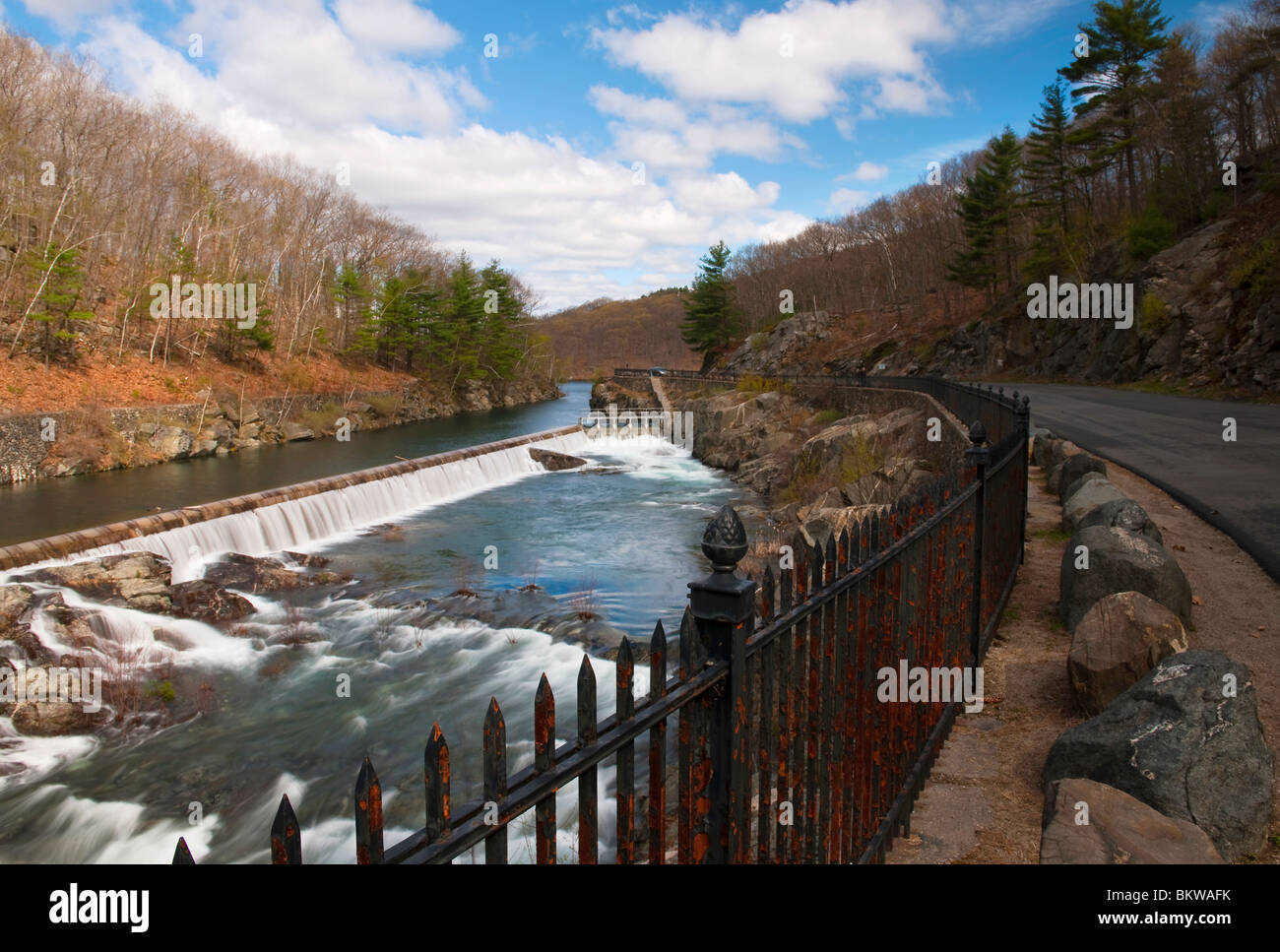 Are Dogs Allowed At The Quabbin Reservoir