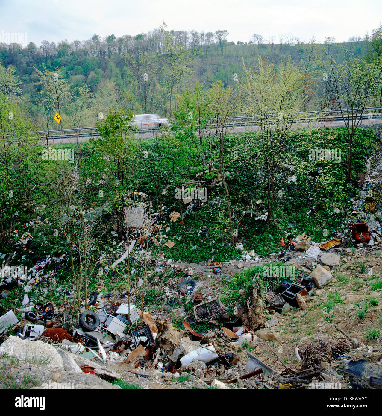 Illegal dumping of refuse, garbage, trash and waste along Rt. 40 near