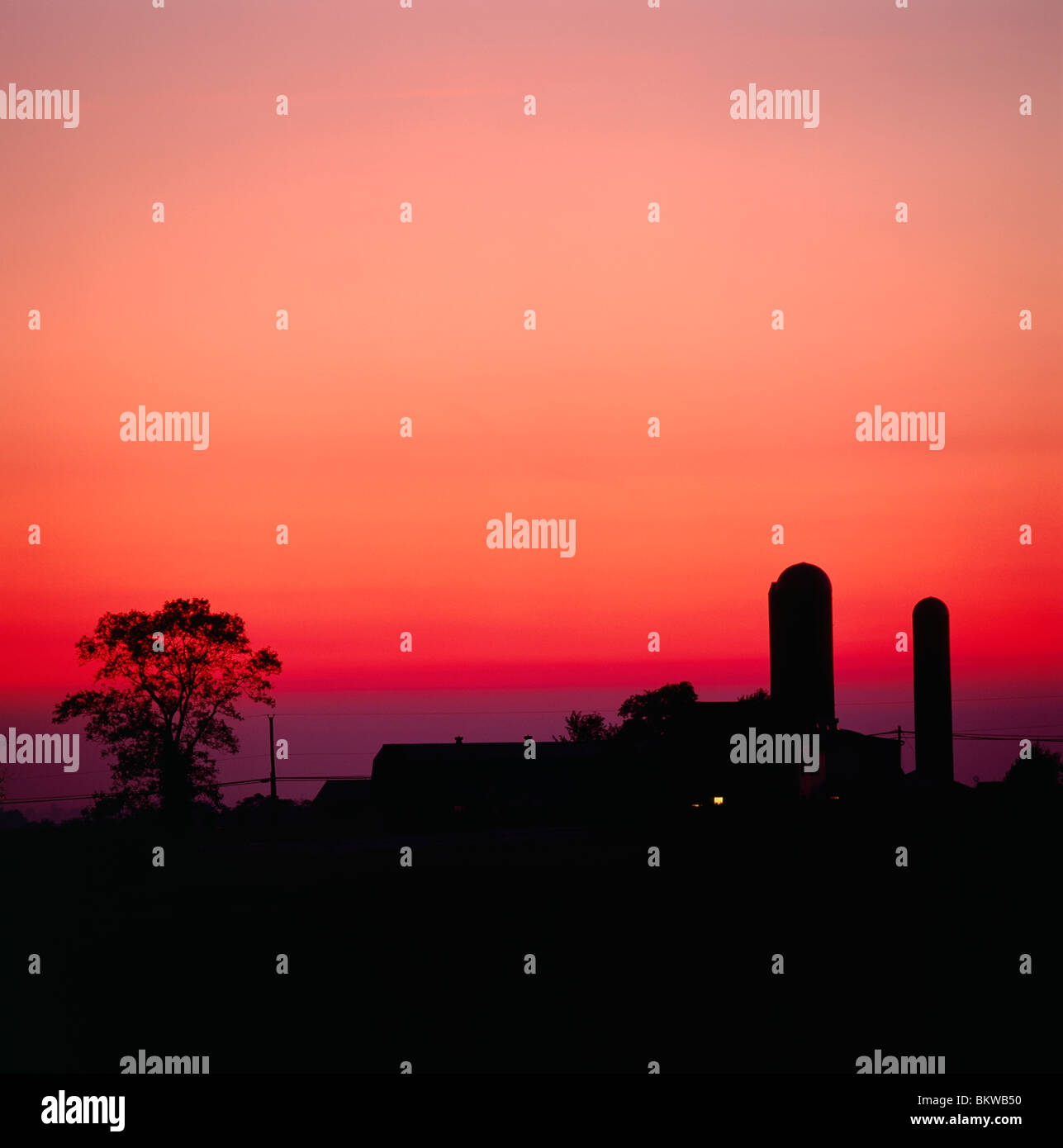 Amish barn and silos silhouetted against a sunset sky. Amish don't use