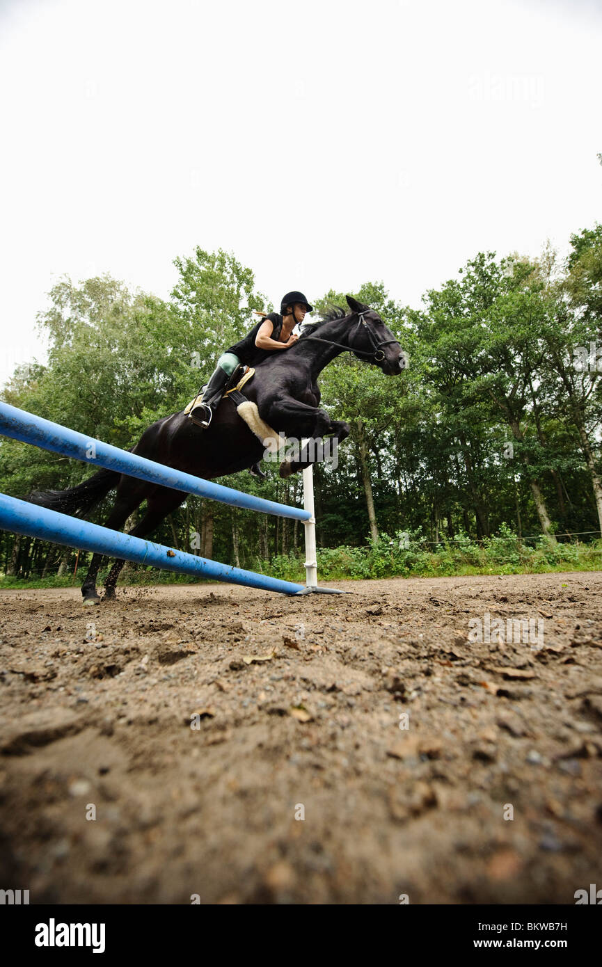 Horse Jumping High Resolution Stock Photography and Images Alamy