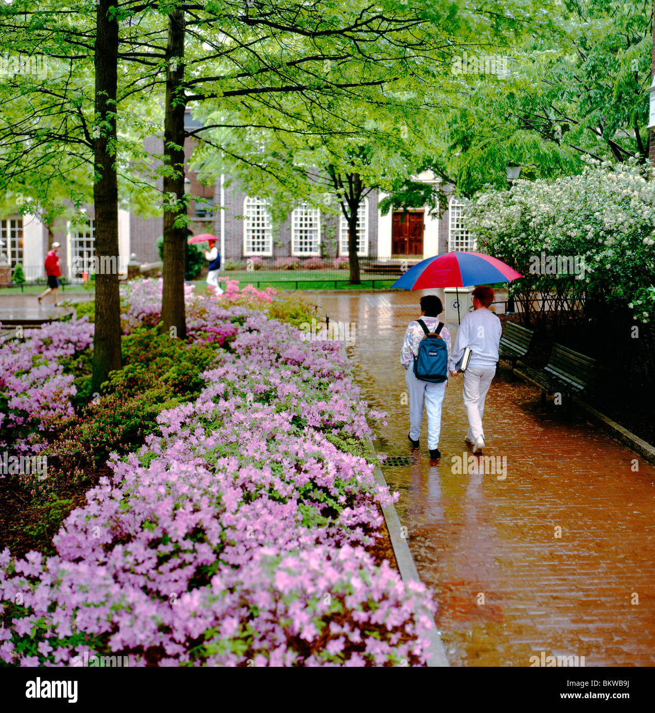 Students In Rain University Of Pennsylvania Ivy League School Founded Students In Rain University Of Pennsylvania Ivy League School Founded