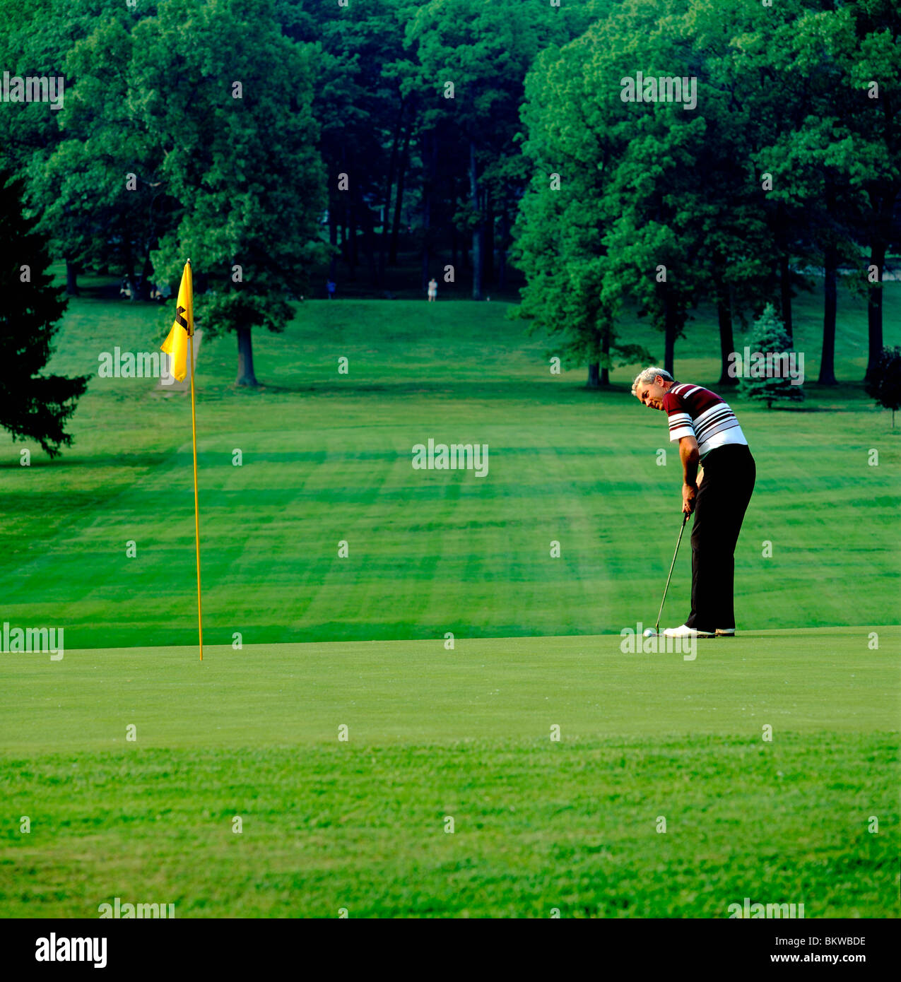 Lone golfer on putting green, Foxburg Golf Club, oldest continuously