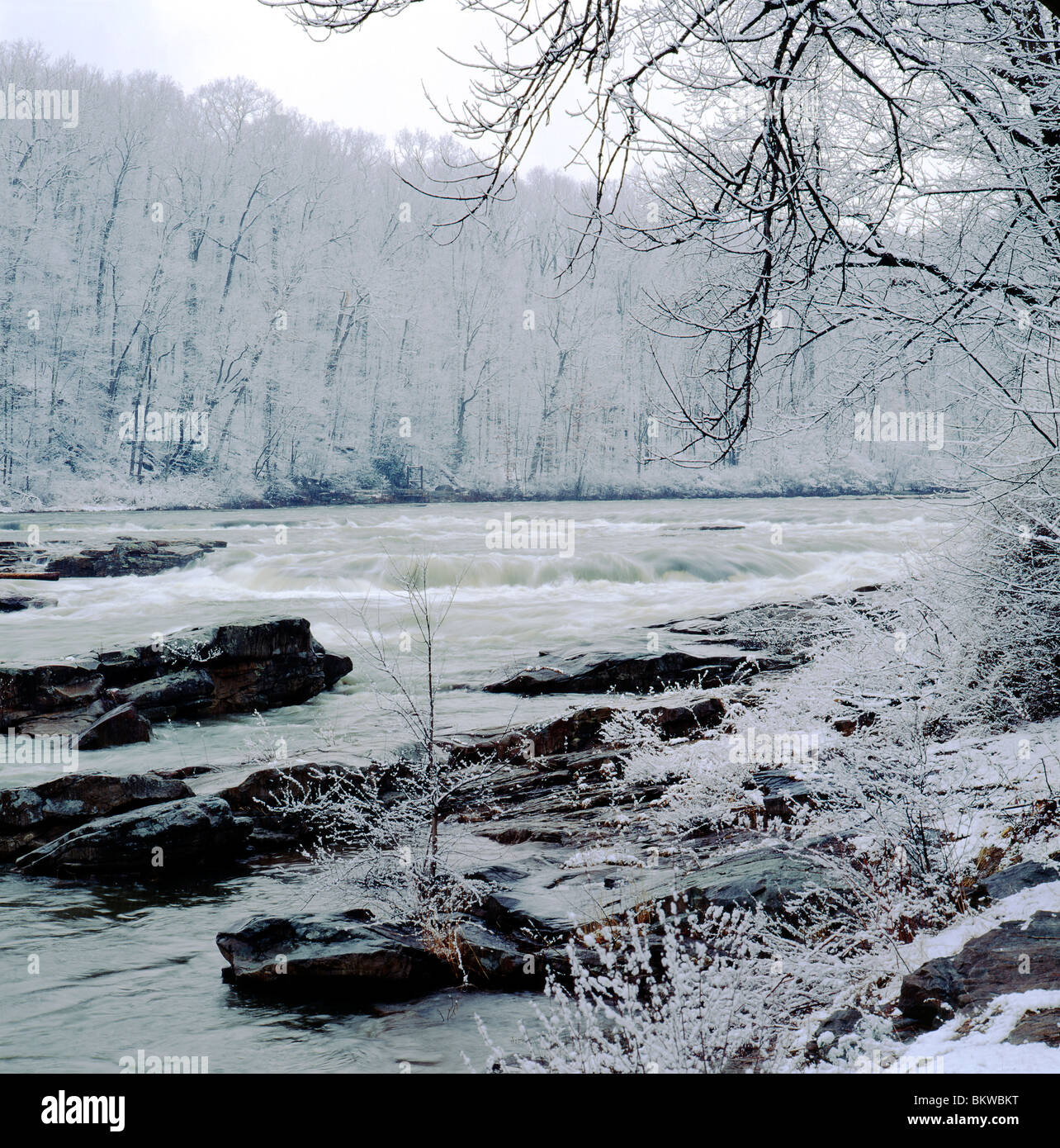 Youghiogheny River and wet March snowfall, Ohiopyle State Park ...