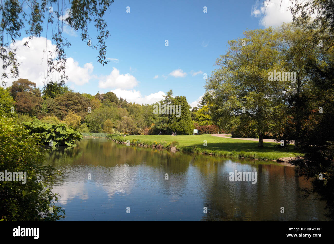 View across a small lake in the John F. Kennedy Arboretum, Co Wexford