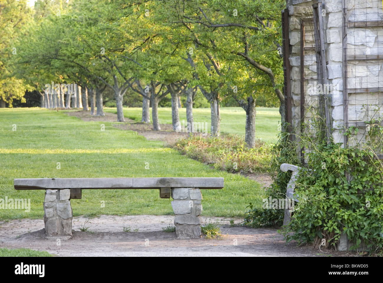 Park bench and crab apple trees (Cox Arboretum, Dayton Ohio) Stock Photo