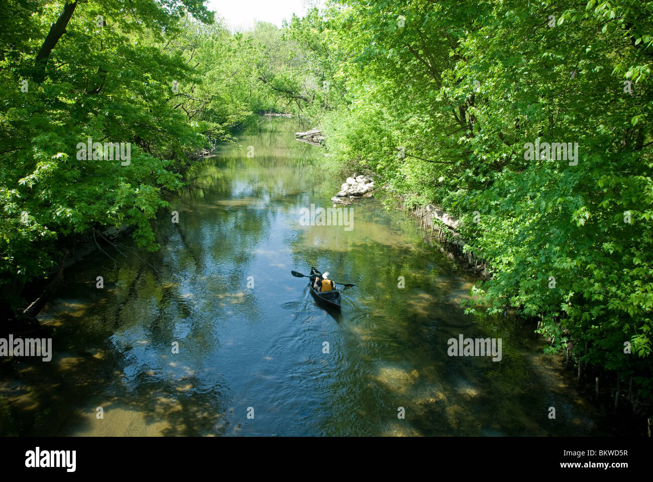 Canoes and kayaks on the Bronx River in the New York borough of Bronx