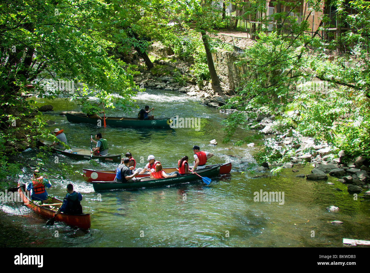 Canoes and kayaks on the Bronx River in the New York borough of Bronx