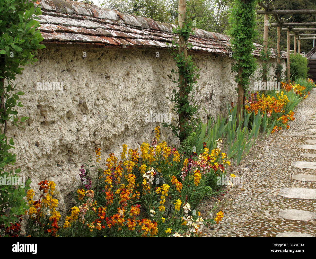 Old flower border hi-res stock photography and images - Alamy