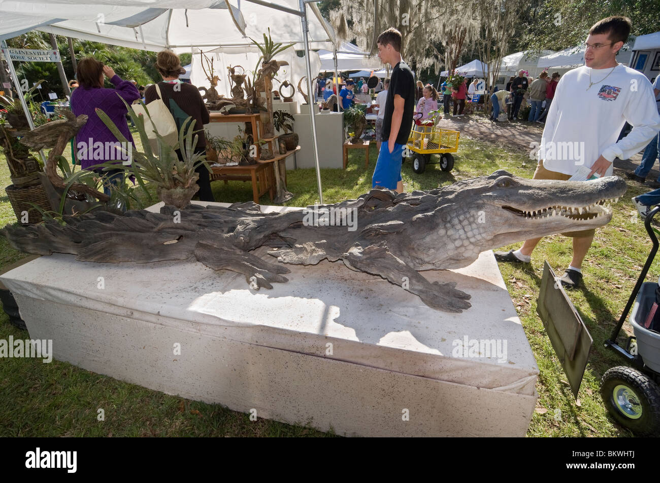 Alligator sculpture hires stock photography and images Alamy