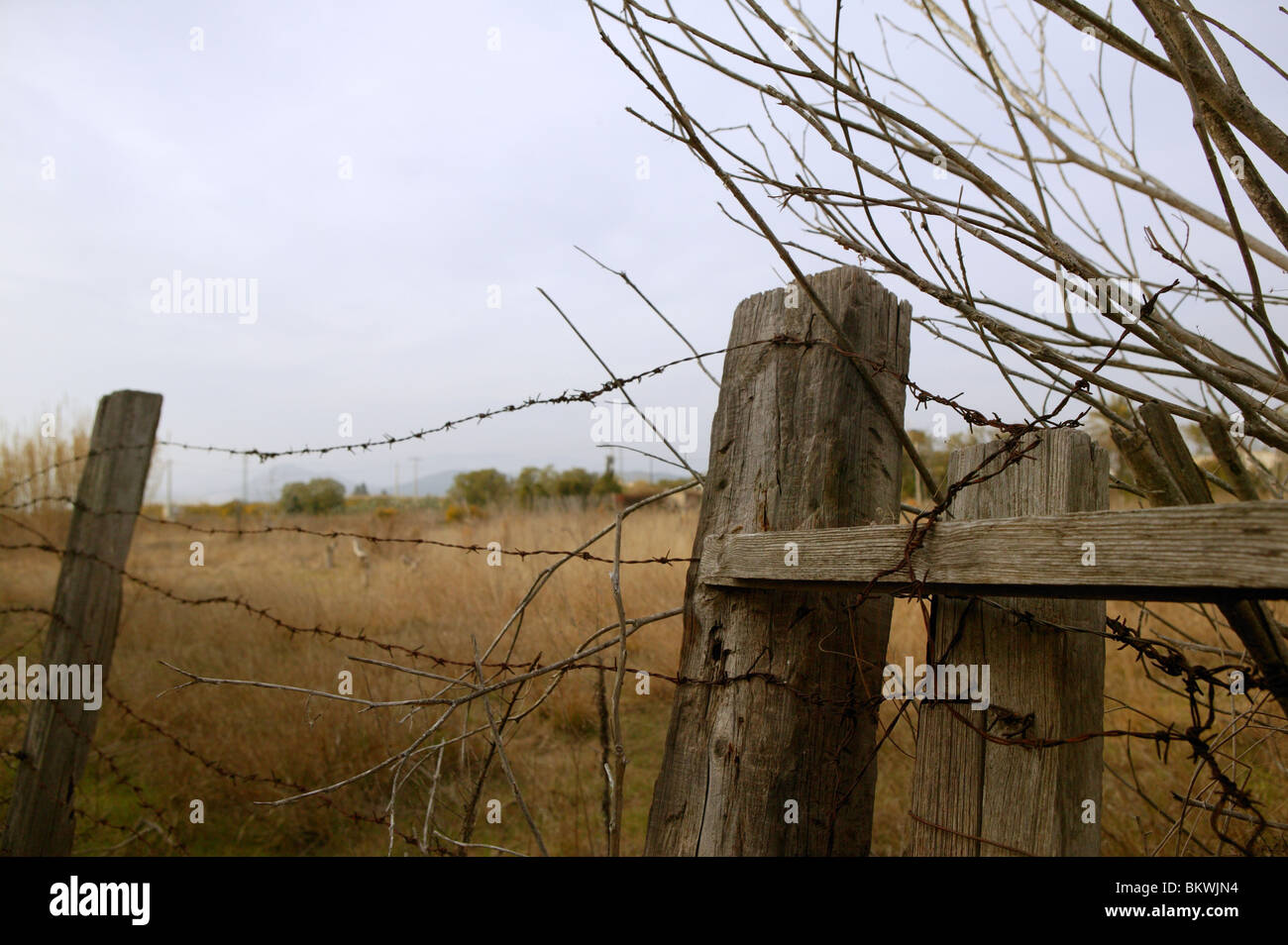 Aged weathered wooden old fence Stock Photo - Alamy