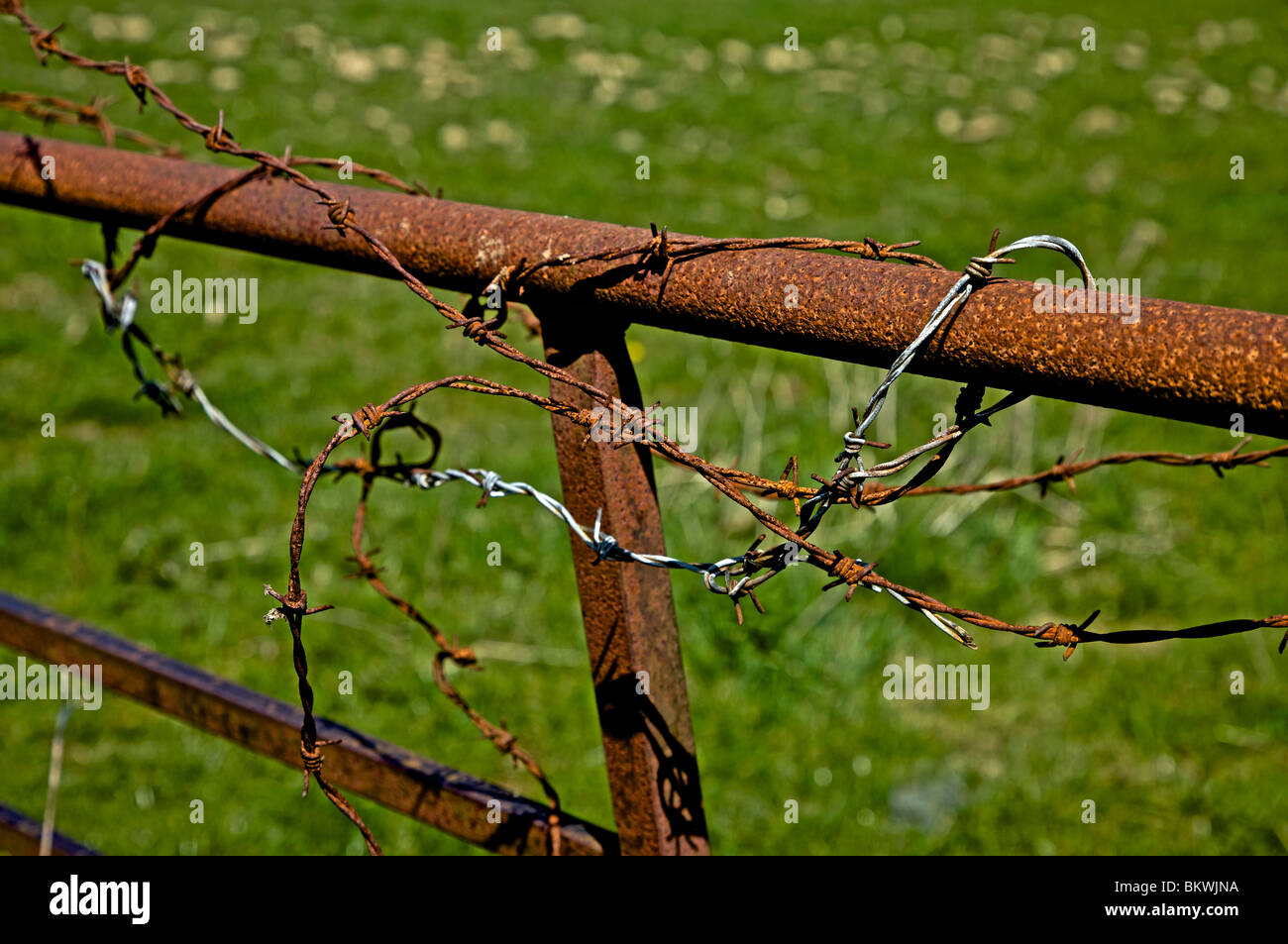 old rusty gate and barbwire Stock Photo - Alamy