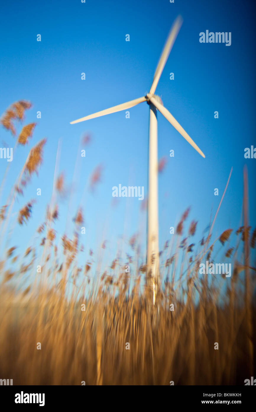 A wind turbine in Newburyport, Massachusetts Stock Photo - Alamy