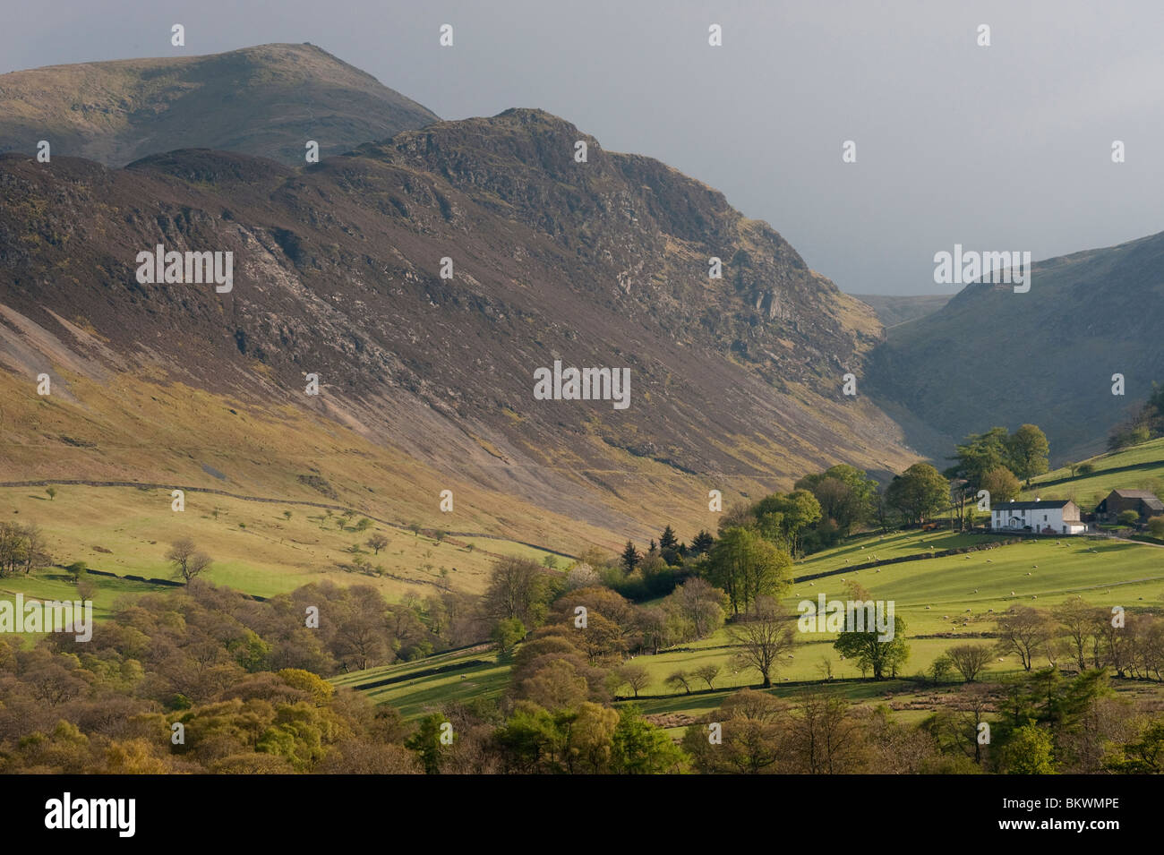 High Snab Farm below Hindscarth 2385ft a National Trust working sheep farm in the Newlands Valley in the English Lake District. Stock Photo