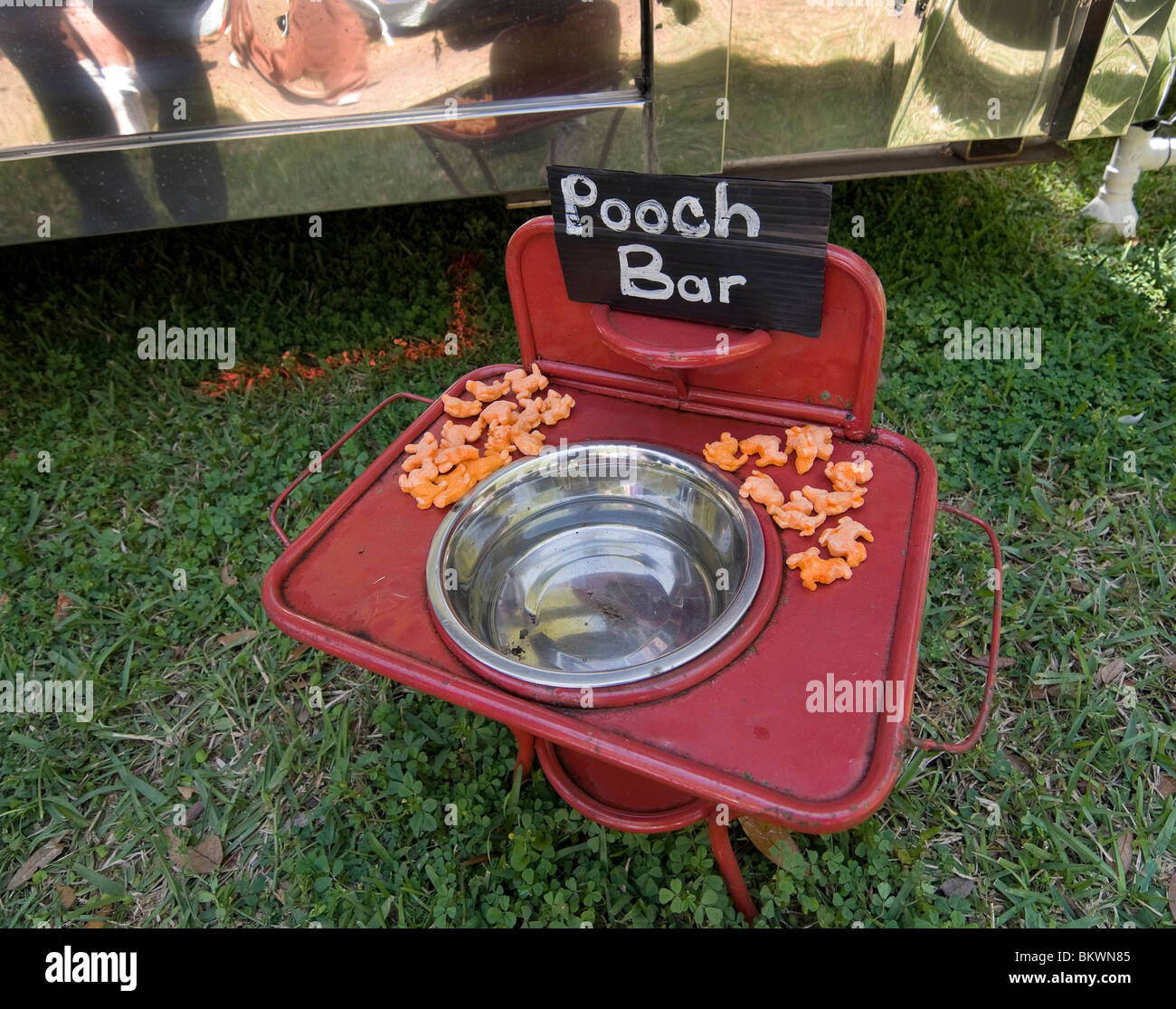 Dog Feeder Stock Photos Dog Feeder Stock Images Alamy