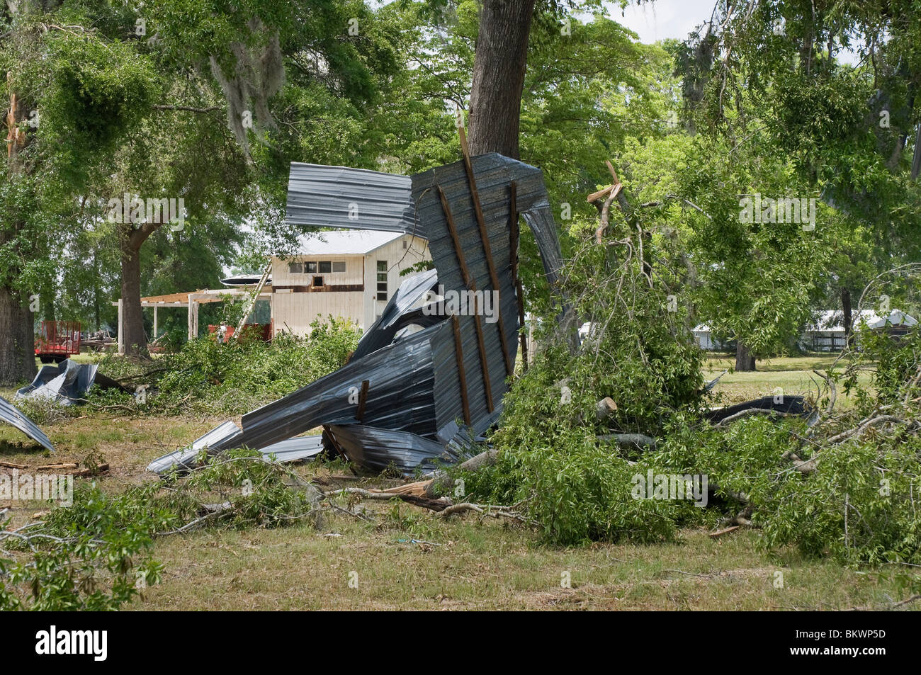 parts of barn wrapped around tree and damaged trees after tornado
