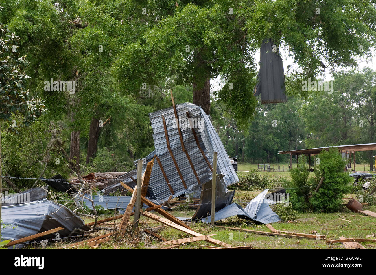 parts of barn wrapped around tree and damaged trees after tornado