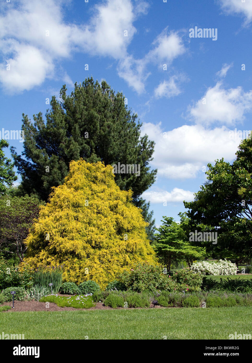 Sky garden plants hi-res stock photography and images - Alamy