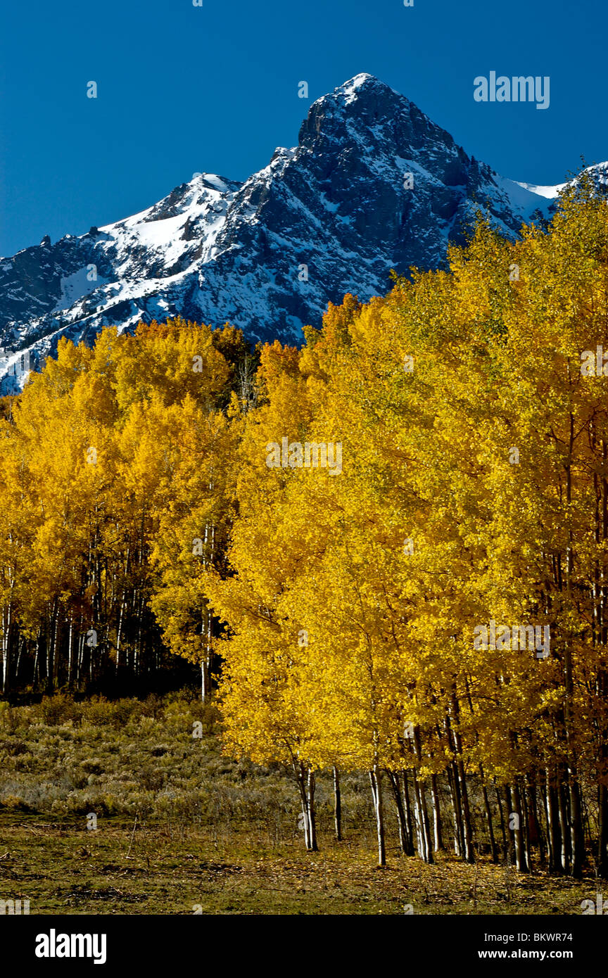Stock photograph of Mount Sneffels in the Dallas Divide area of southwestern Colorado USA. - Stock Image
