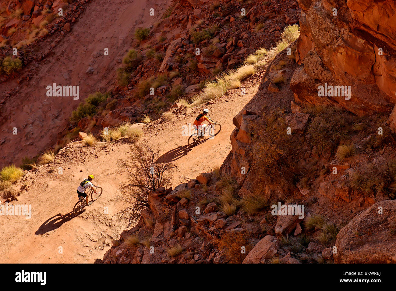 Stock photograph of two mountain bikers on Shafer Trail Road in the Island in the Sky area of Canyonlands National - Stock Image