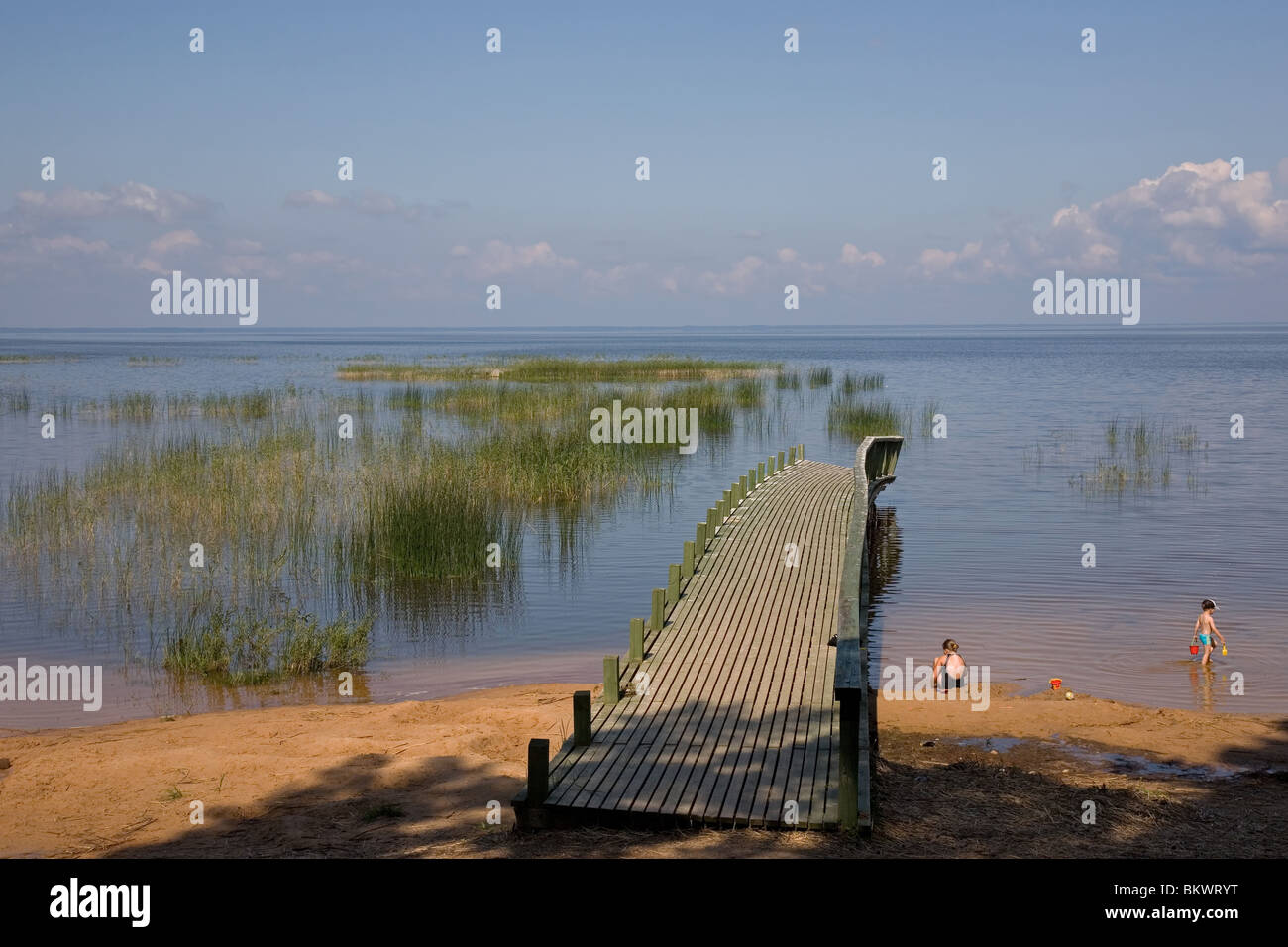 Lake Võrtsjärv near Vehendi, Tartu County, Estonia, Europe Stock Photo