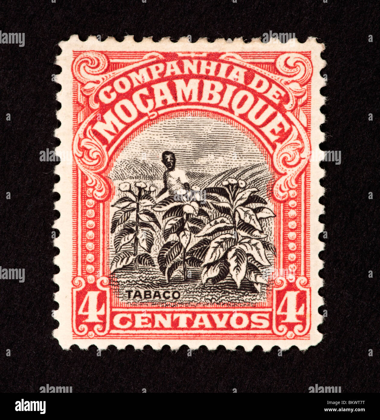 Postage stamp issued by the Mozambique Company depicting tobacco farming. Stock Photo