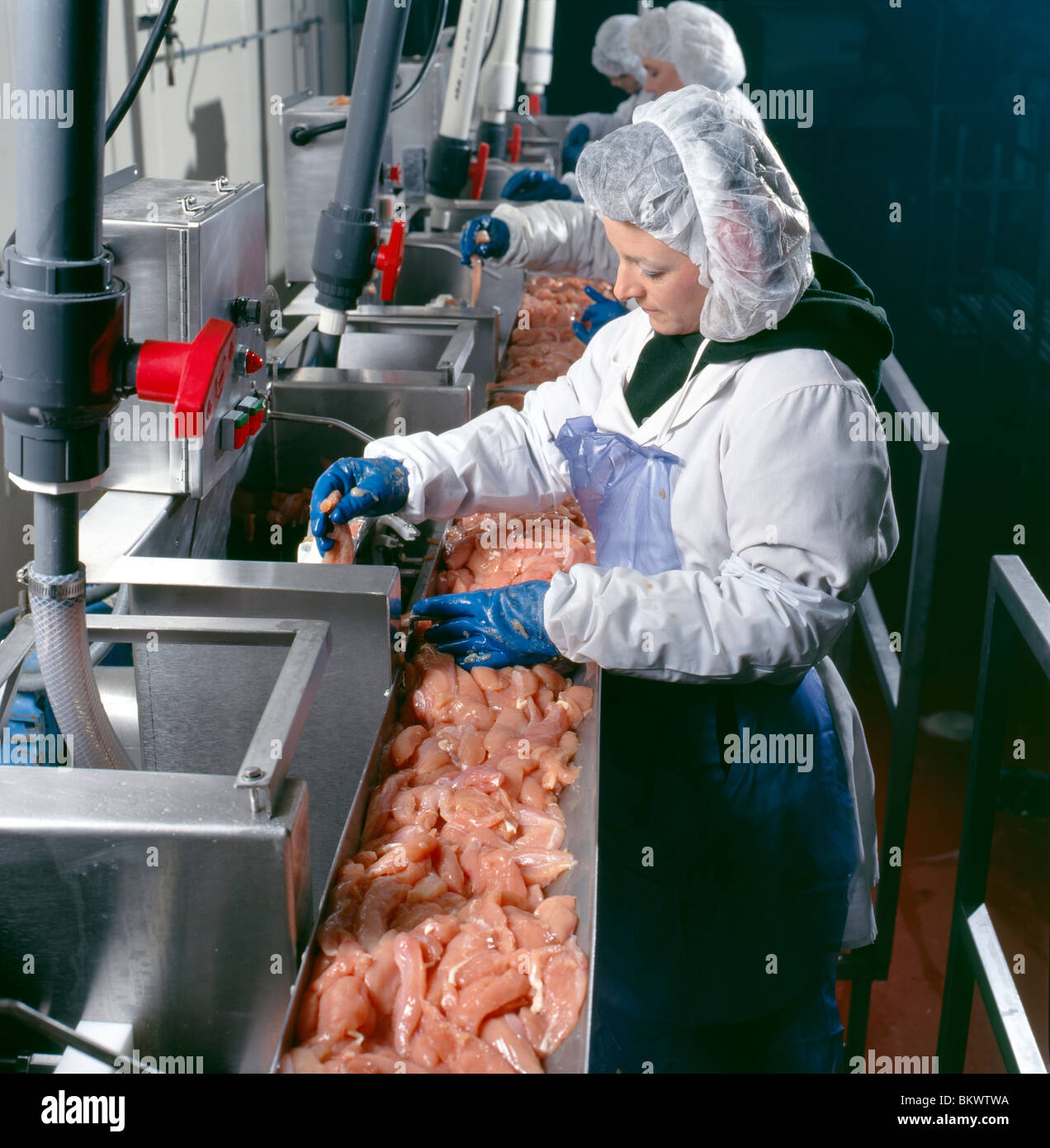 Workers at a stainless steel assembly line that produces chicken for the restaurant industry Stock Photo
