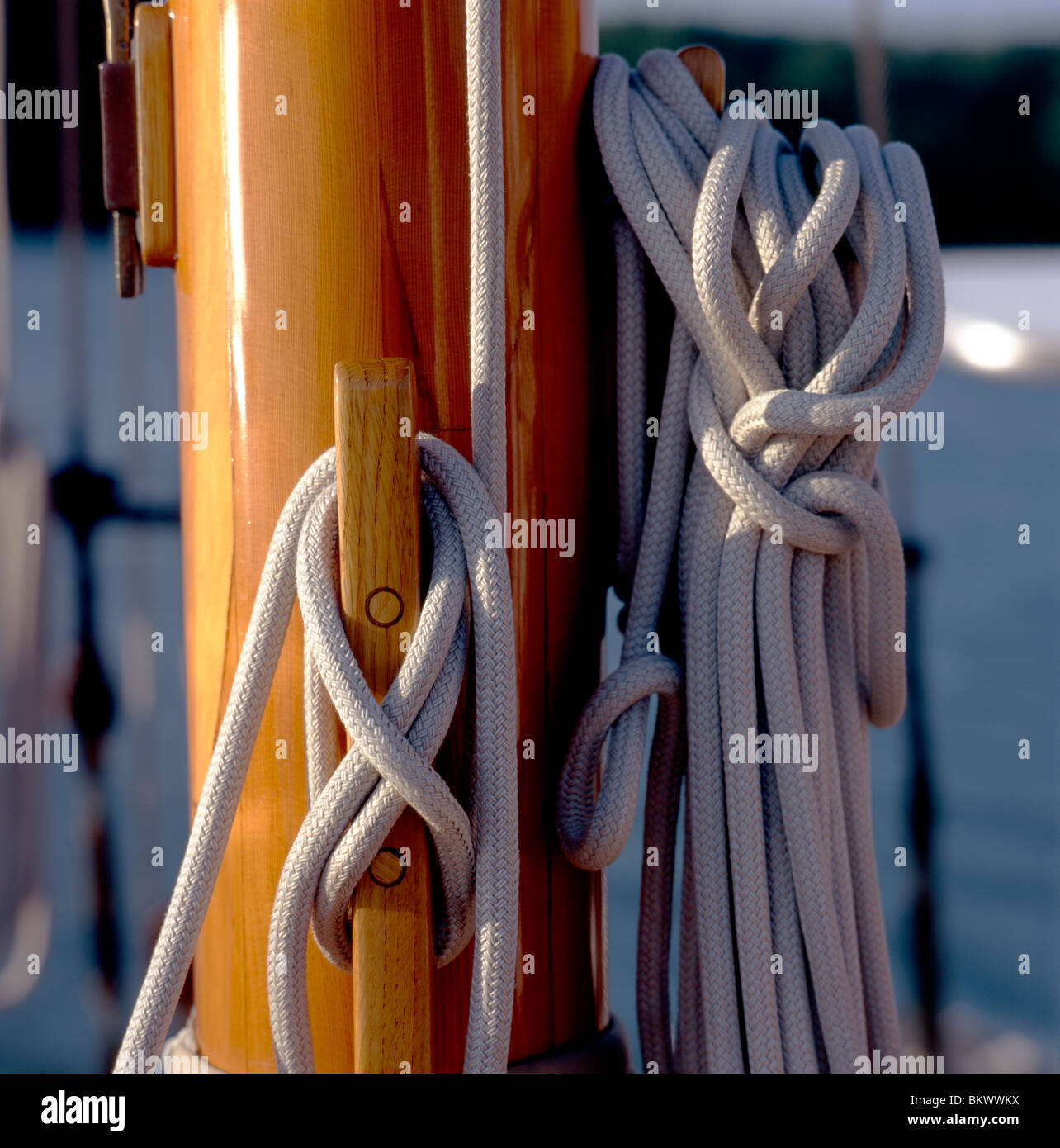 Detail of rigging and wooden cleats on the mast of an historic sailing boat on Chesapeake Bay, Maryland, USA Stock Photo