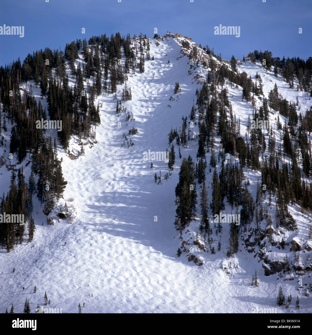Alta mountain 2024