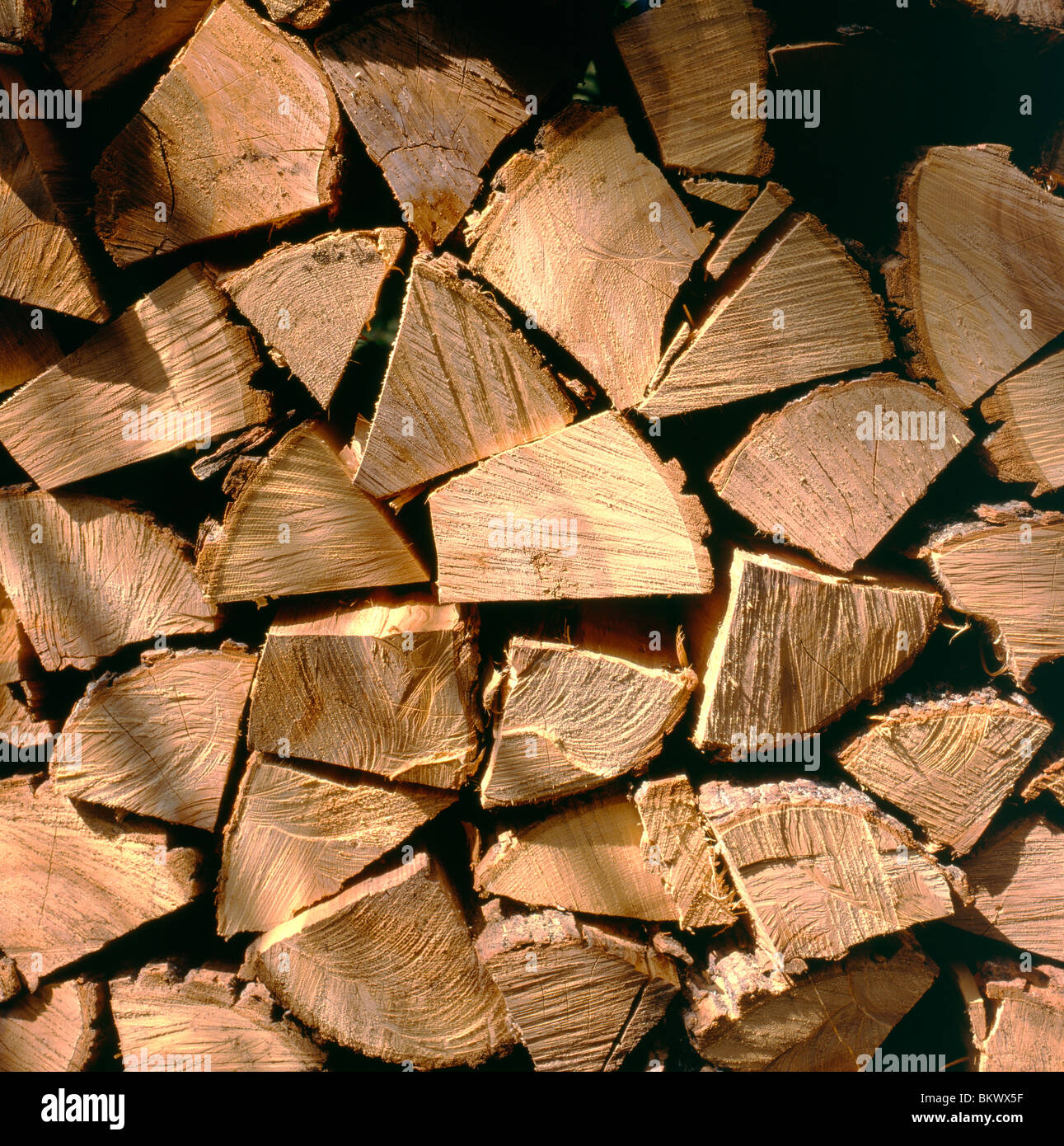Neatly stacked pile of cut and split oak firewood Stock Photo