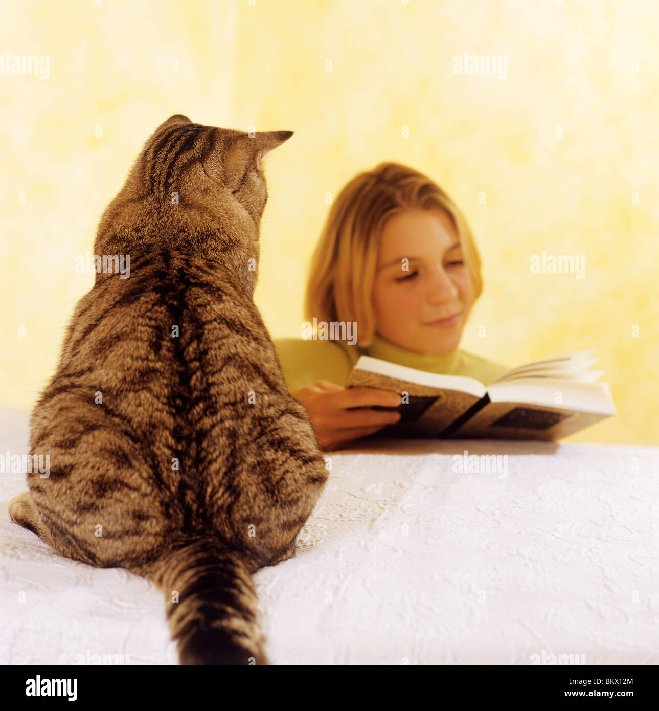girl is reading a book - domestic cat is looking Stock Photo