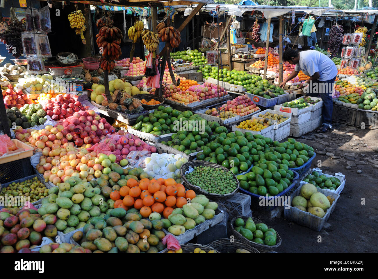 Vegetables nuwara eliya hi-res stock photography and images - Alamy