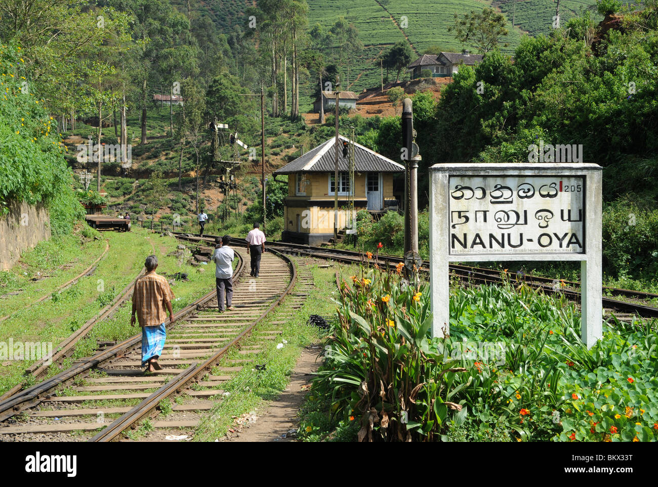 Nanu-Oya train station Sri Lanka Stock Photo